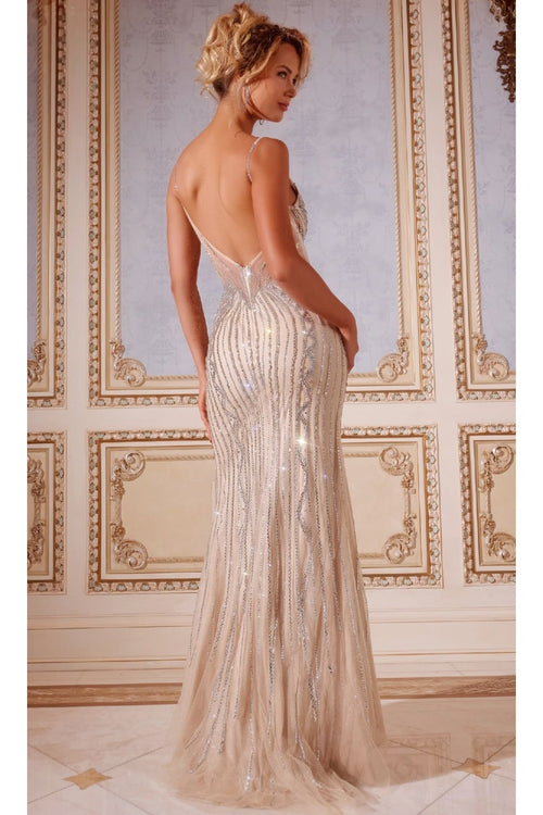 Long Prom Dress: Jovani 43221 - Prom