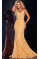 Long Sparkly Lace Prom Dress: Jovani 44142 - Champagne / 00 - Apparel & Accessories > Clothing > Dresses