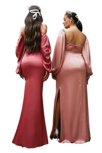 Maid of Honor Long Gown 2025 Long Sleeve Simple Elegant Dress - Dress