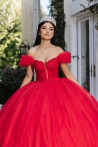 Masquerade Ball Gown Ruffle Short Sleeves Gala Dress By Layla K LK266 - Dress