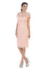 May Queen MQ1106B Short Lace Mother Of The Bride Dress - Dress