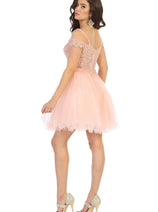 Dama Dresses for Quinceanera in Blush Style MQ1668 Quince Outfit