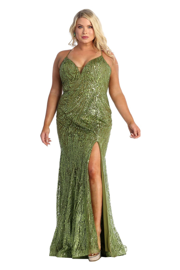 Plus Size Dress Special Occasion