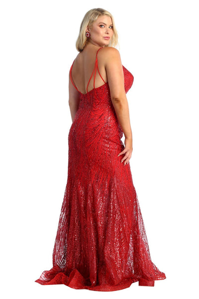 Plus Size Dress Special Occasion