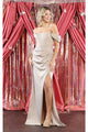 Formal Evening Simple Gown
