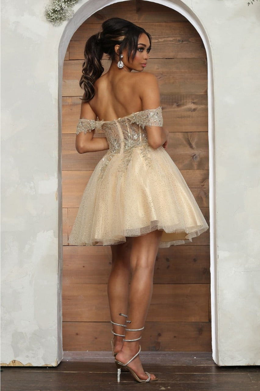 Dama Dresses for Quinceanera in Champagne Cute Quince Outfit-New Colle
