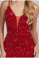 Long Dresses Prom