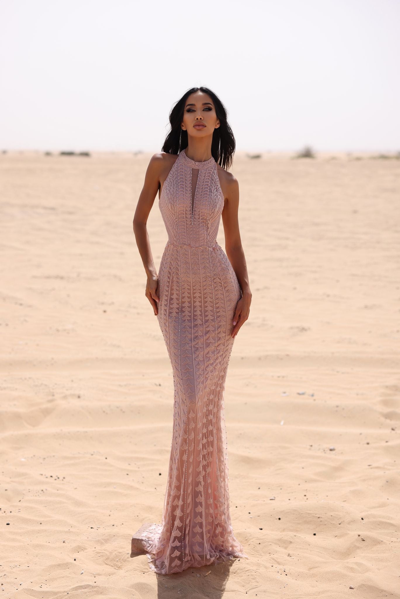 Chic and Holland BLUSH Dress