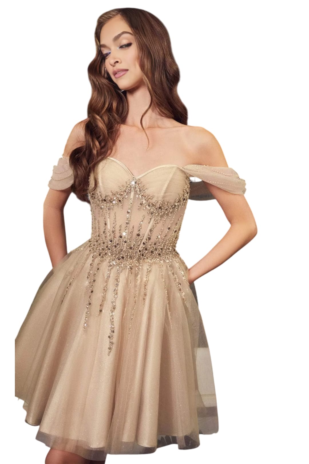 Off-Shoulder Corset Gown 2025 Elegant Evening Dress - Champagne / XXS - Prom