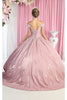 Glittery Quinceañera Ball Gown