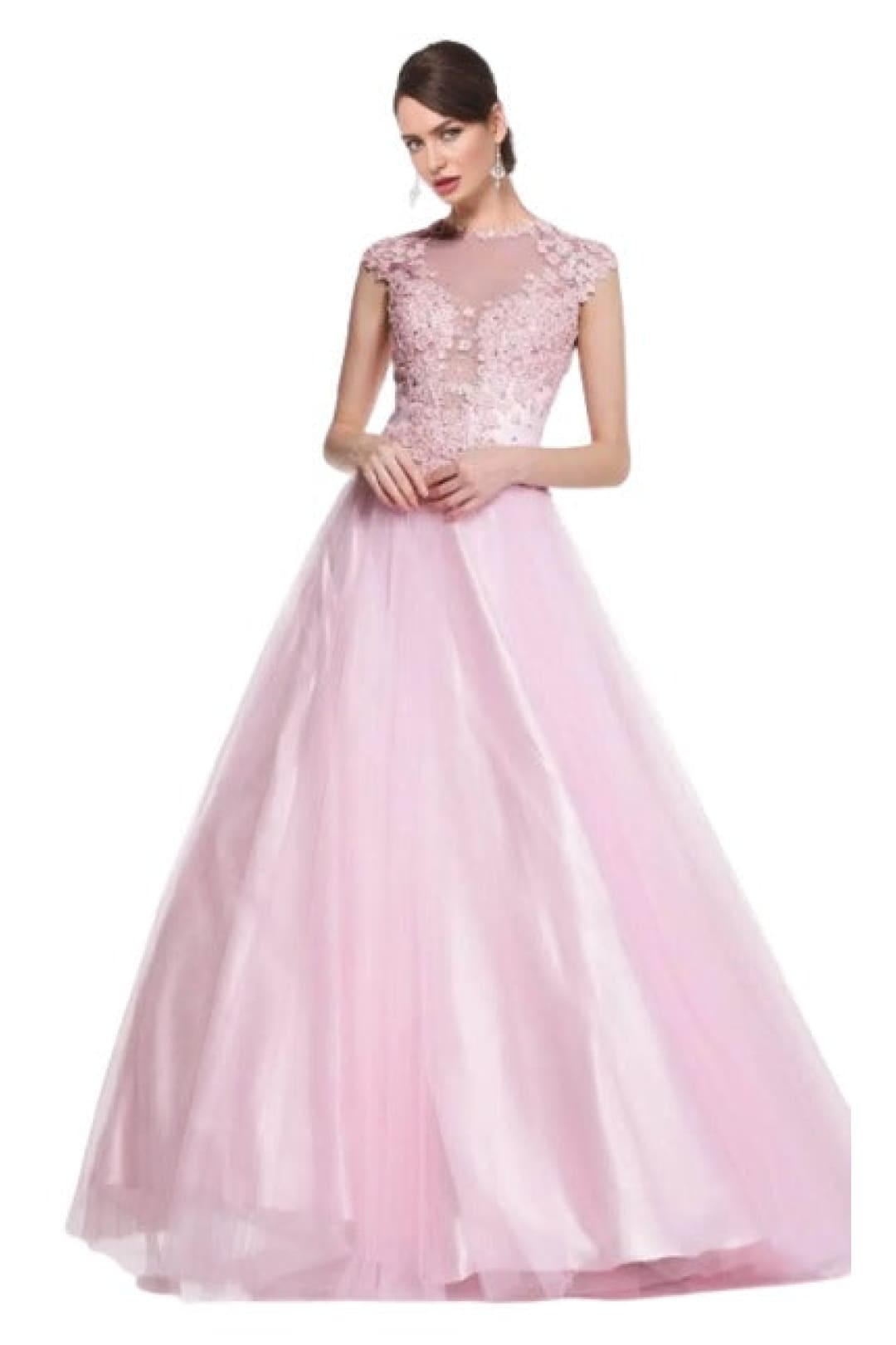 Ornate Lace Illusion A-Line Long Dress 2025 Elegant Formal Gown - Baby Pink / 2 - Prom