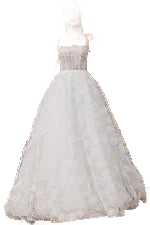 Background removed image