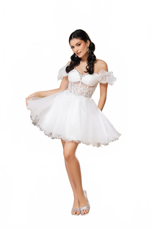 Background removed image