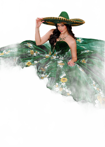 Background removed image