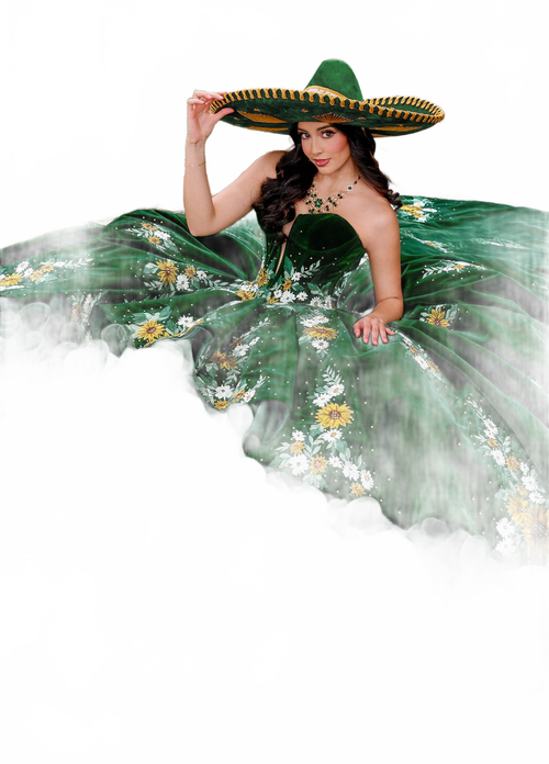 Background removed image