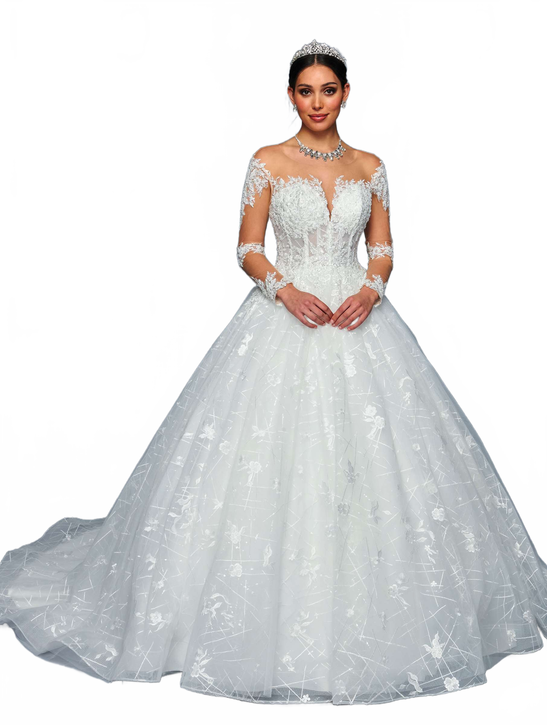 Background removed image