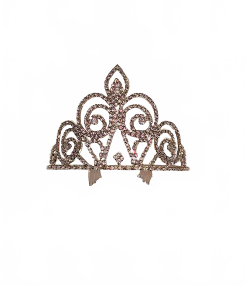 Background removed image