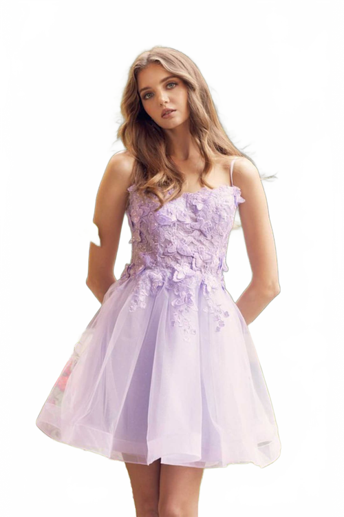 Background removed image