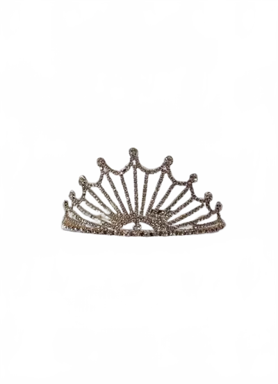 Background removed image