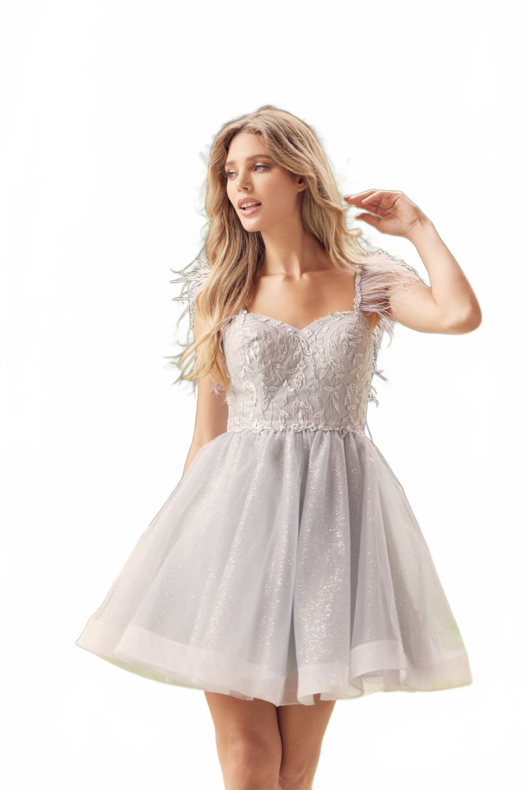 Background removed image