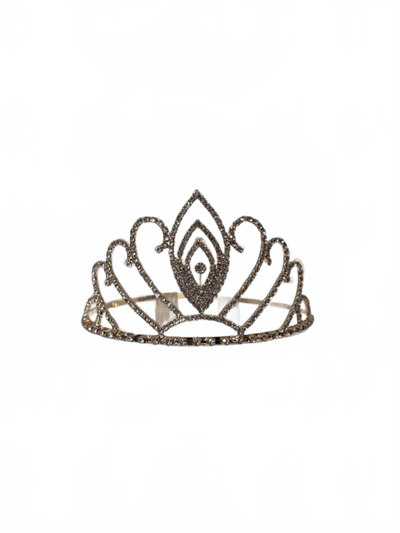 Background removed image