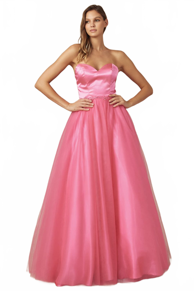 Sweet 16 Birthday Party Dress in HOT PINK Style 265 Ball Gown HOT PINK / XL