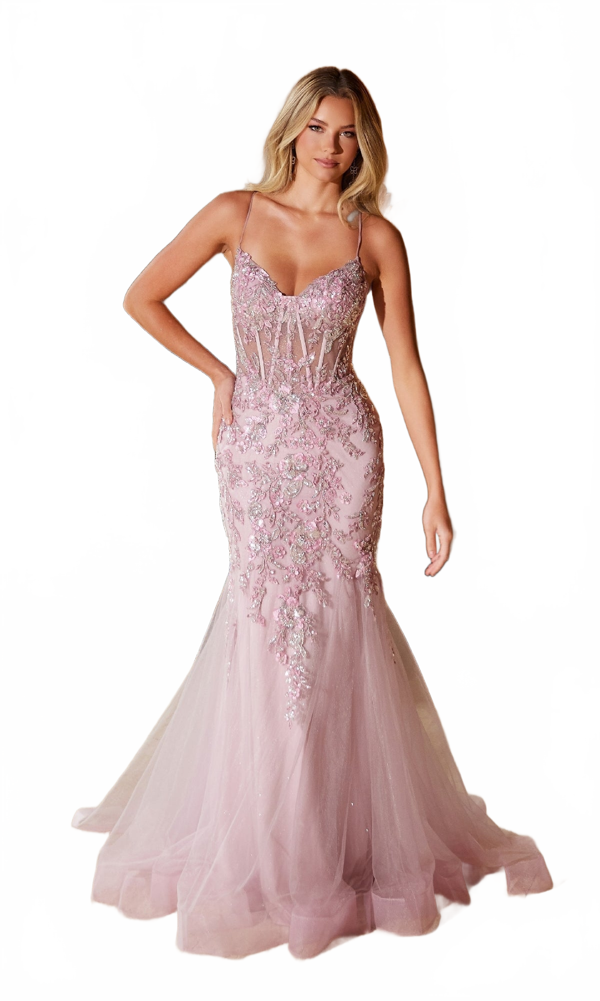 Background removed image