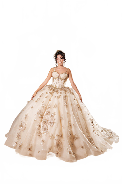 Background removed image