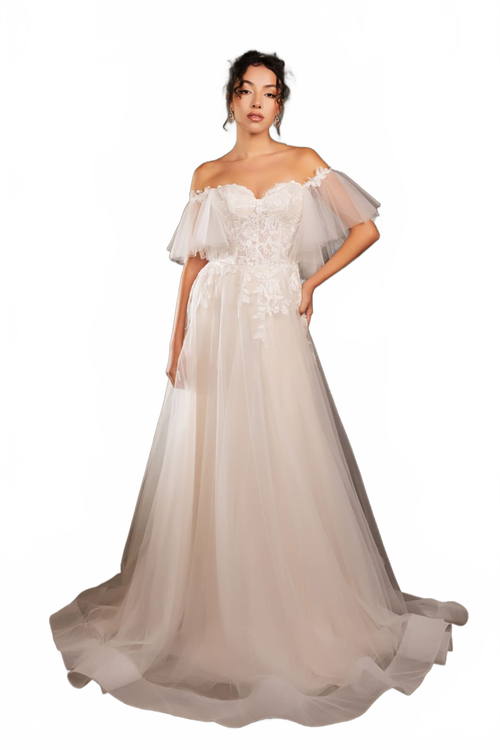 Background removed image