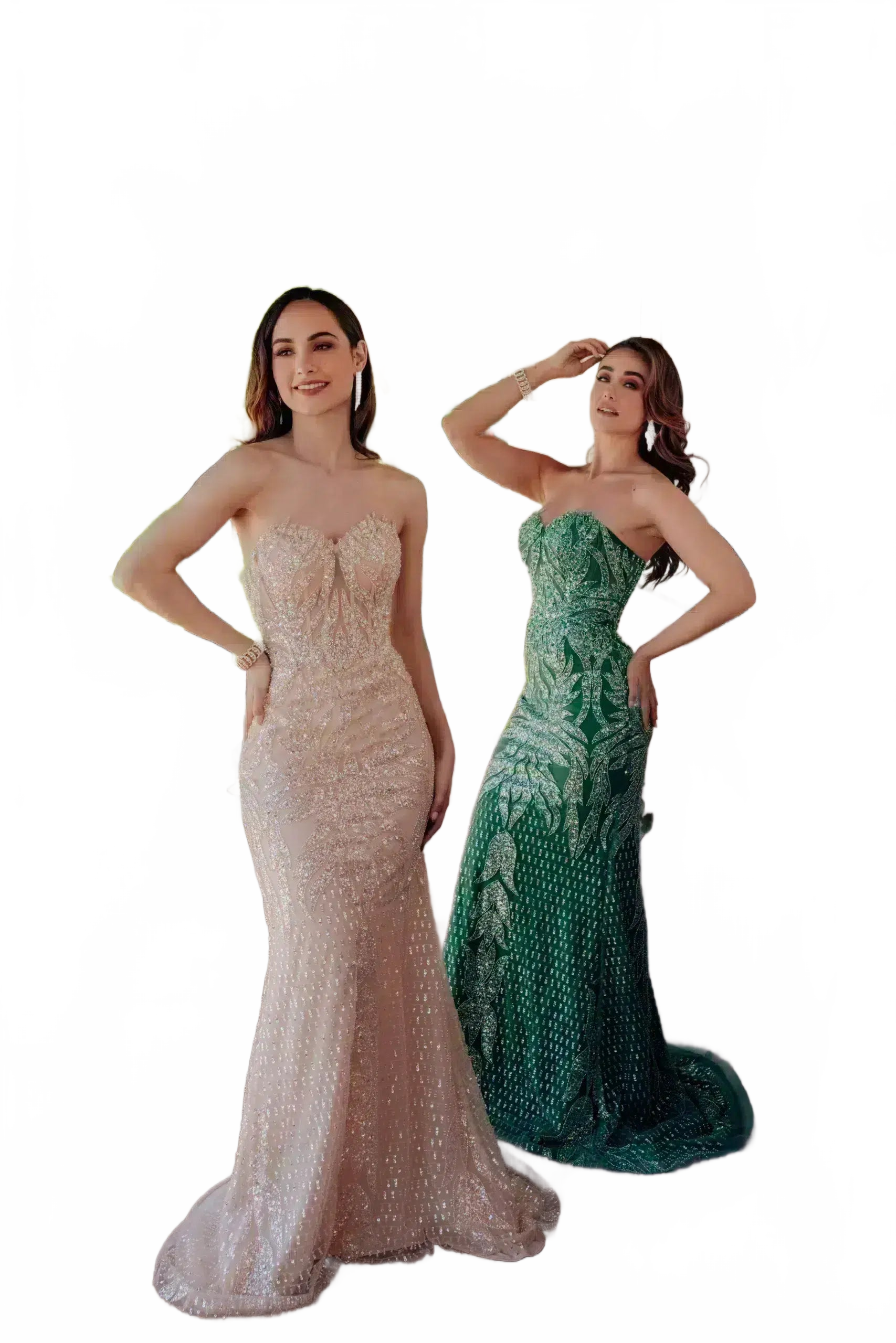 Background removed image
