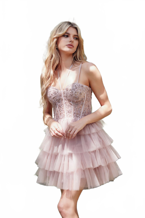 Background removed image