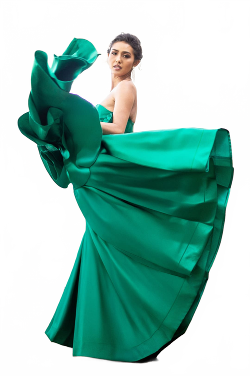 Background removed image