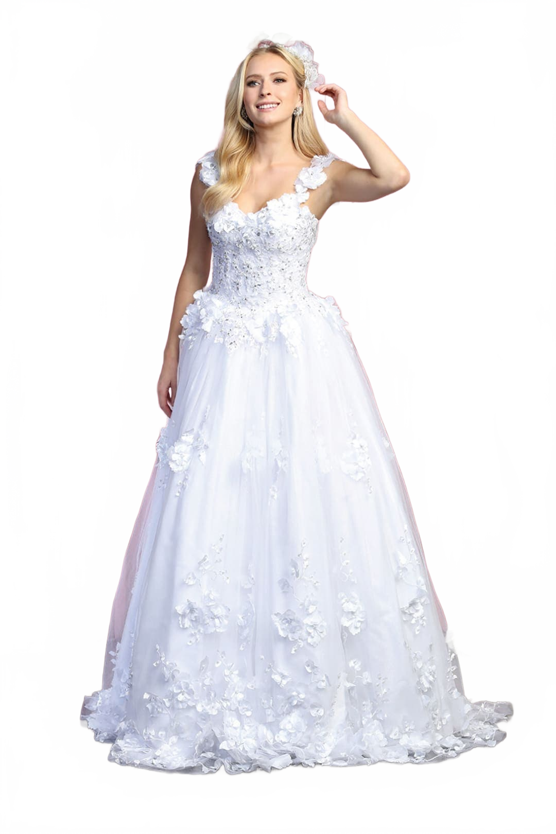 Background removed image