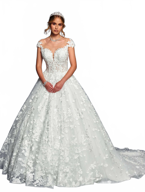 Background removed image