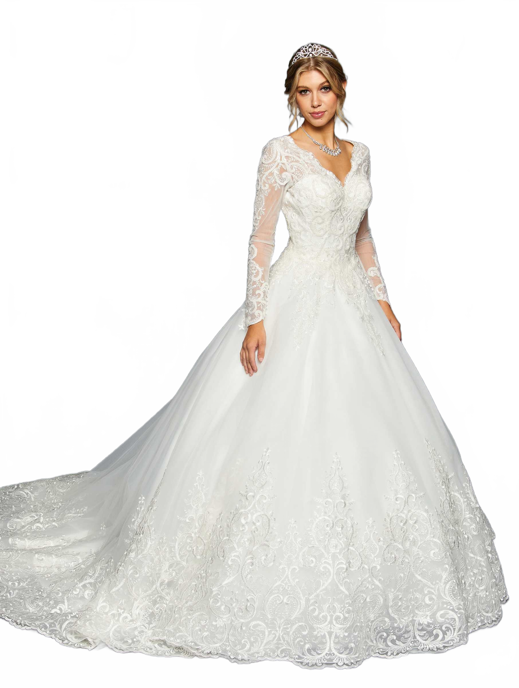 Background removed image