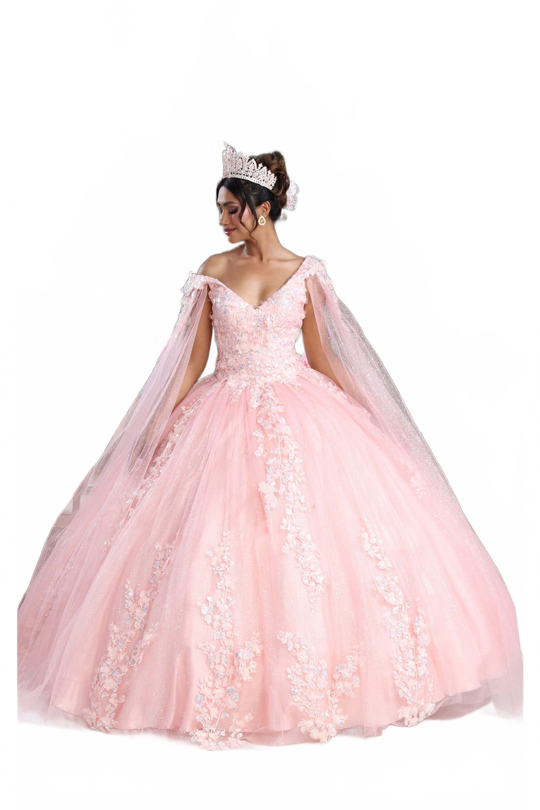 Background removed image