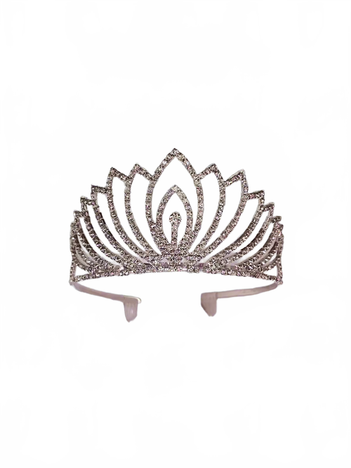 Background removed image