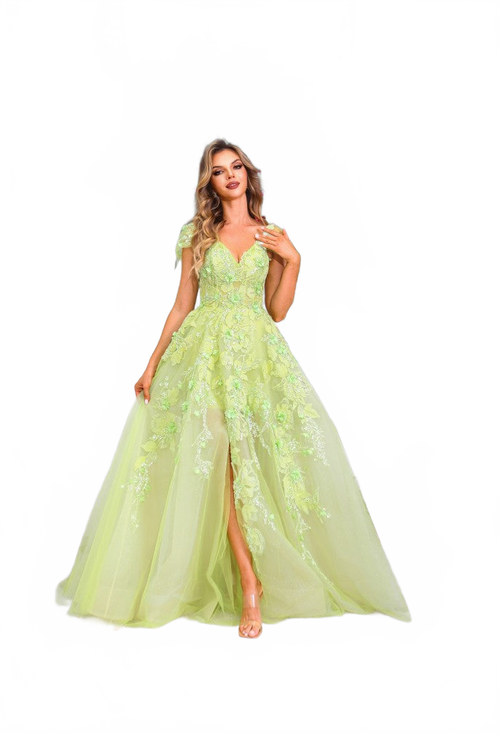 Background removed image