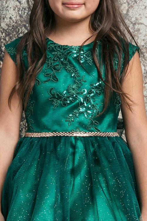 Embroidered Flower Dress with Tulle Skirt  Cap Sleeve Sparkle by Bella Princess 299