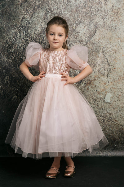 Tulle Dress with Sequins and Puff Sleeves Sweet Party Outfit by Bella Princess 316