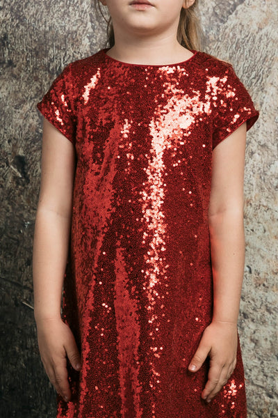 Short Sleeve Sparkle A-Line Dress for Holidays & birthday party by Bella Princess 288
