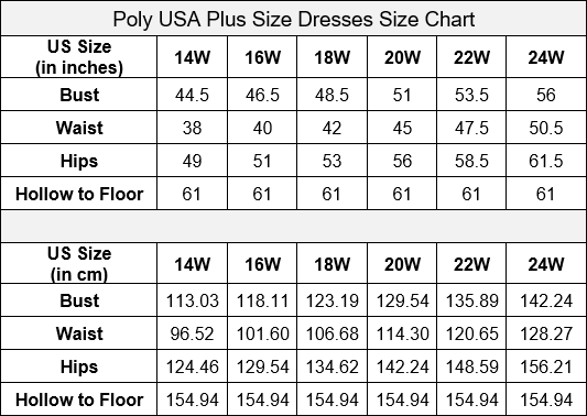 Poly USA W1094 Plus Size Embroidered Long Satin A-line Dress