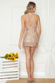 Special Occasion Short Dress - LAY8972