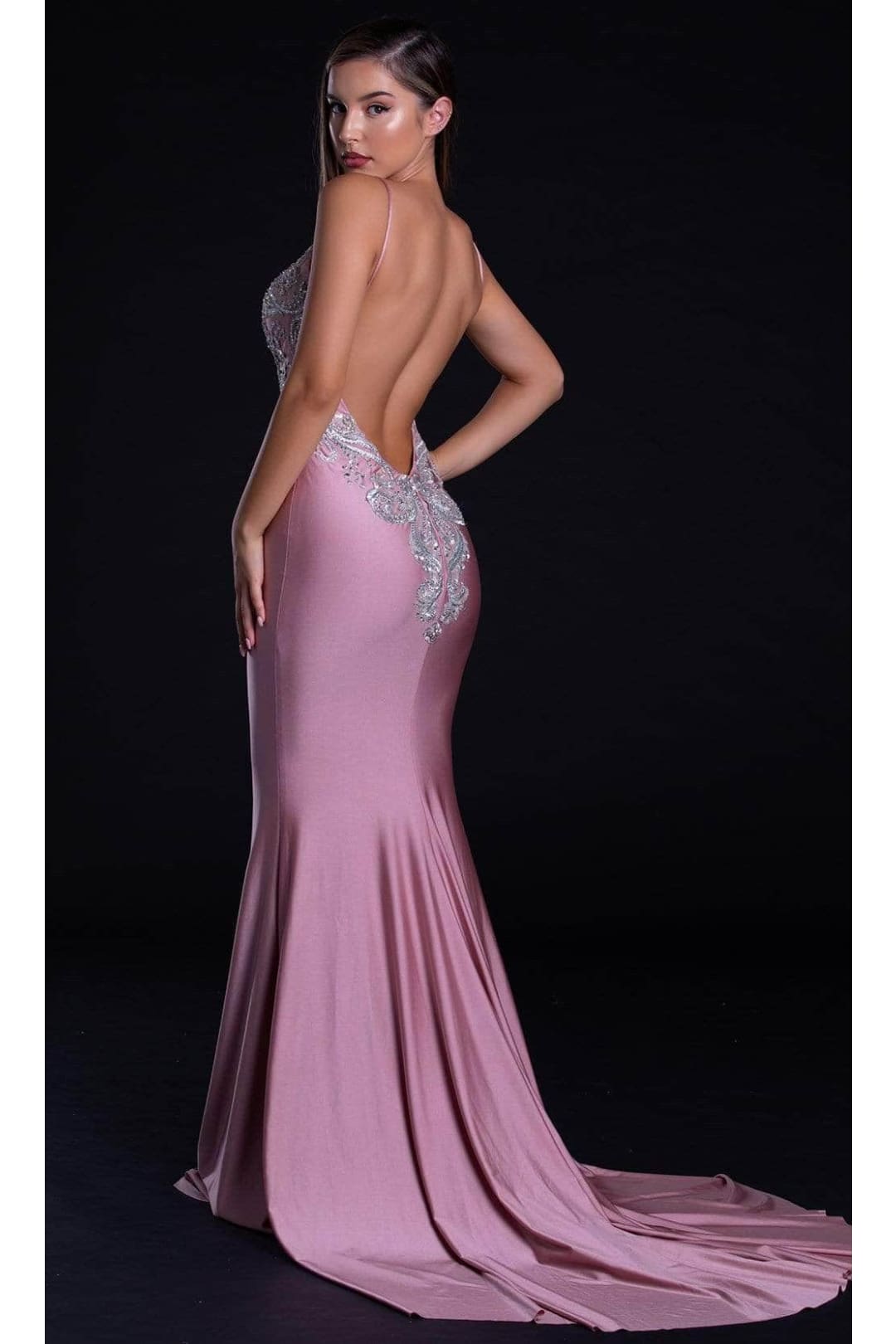 Portia and Scarlett PS21226 -long- Embroidered Mermaid Prom Dress - Blush / 2 - Dress