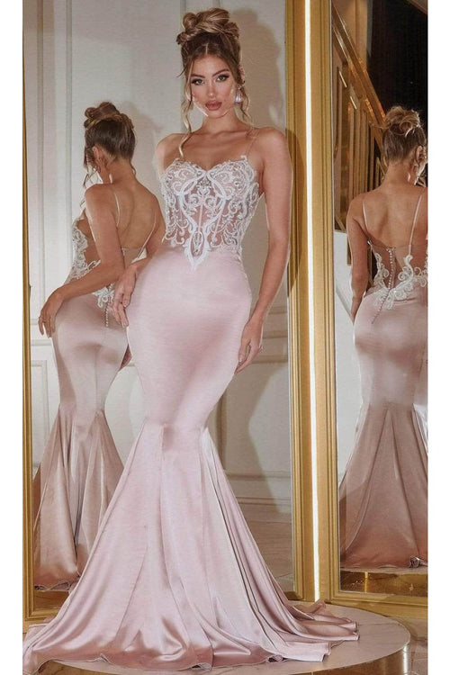 Portia and Scarlett PS22162 -long- Prom Gown with an Embellished Illusion Bodice for Elegance - Dress