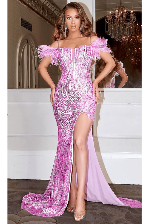 Portia and Scarlett PS22523 -long- Ornate Prom Dress with Feather Details for a Luxe Finish - Pink / 00 - Dress