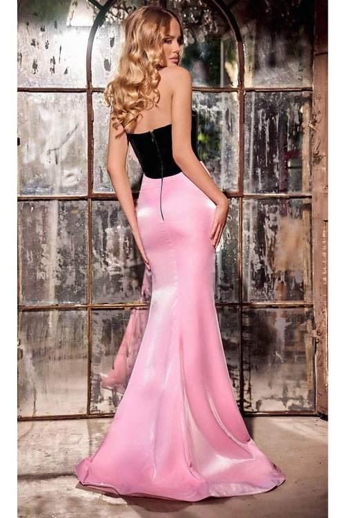 Portia and Scarlett PS24043 -long- Prom Dress Adorned with Floral Appliqué for a Romantic Look - Dress