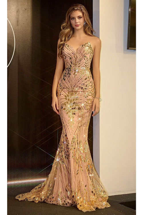 Portia and Scarlett PS24315 -long- Sequin Motif Prom Dress - Blush / 2 - Dress