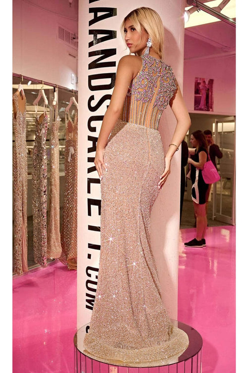 Portia and Scarlett PS24879C -long- Embellished Evening Dress with Jewel Neckline - Silver-Nude / 18 - Dress