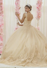 Sweet 16 Birthday Party Dress in Champagne Style LK180 Ball Gown